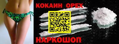 гидропоника Сланцы