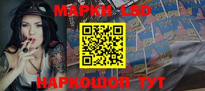 гидропоника Сланцы