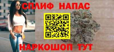гидропоника Сланцы