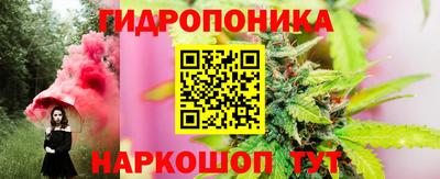 гидропоника Сланцы
