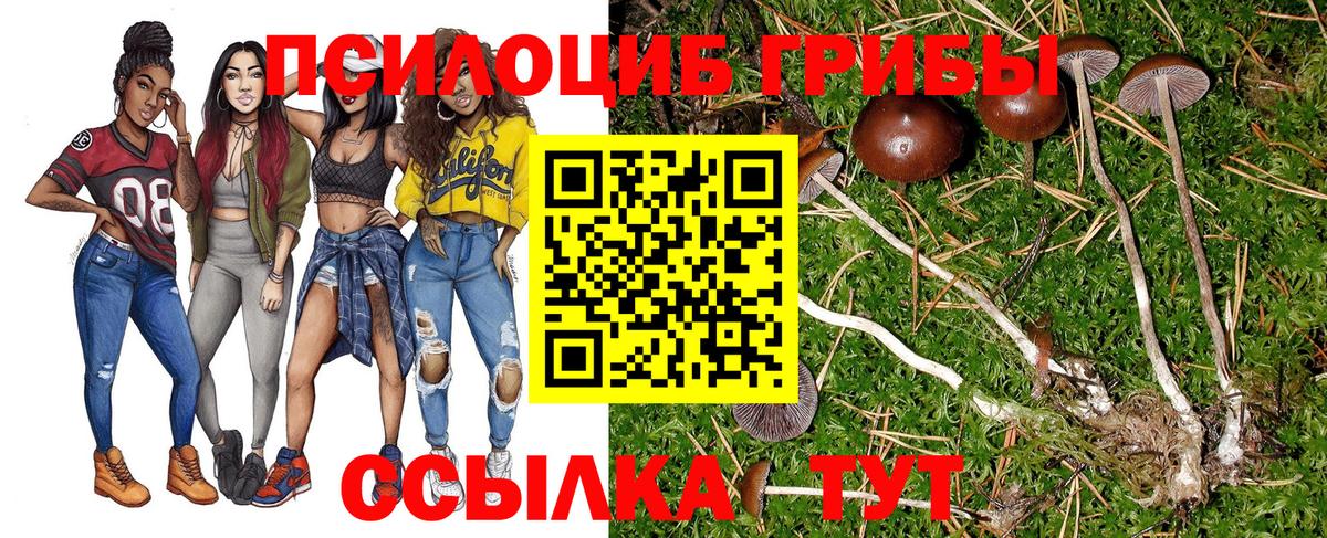 Омск  Галлюциногенные грибы Psilocybine cubensis  Вход с VPN 