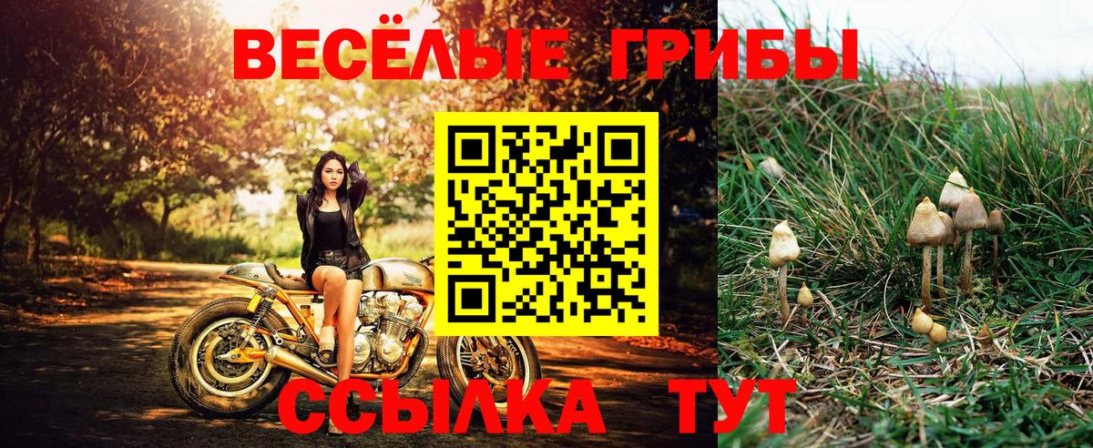 Галлюциногенные грибы GOLDEN TEACHER Омск